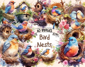 Bird Nests Watercolor Clipart Bundle - 60 PNG Bird Nest Images, Fantasy Magical Graphics, PNG, Instant Digital Download, Commercial Use