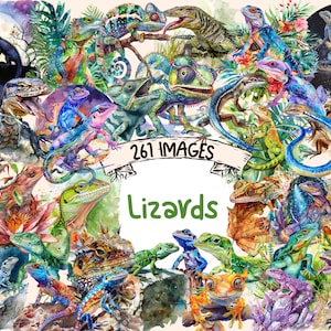Lizards Watercolor Clipart Bundle - 261 PNG Reptile Images, Cute Species of Scaly Lizard Graphics, Instant Digital Download, Commercial Use