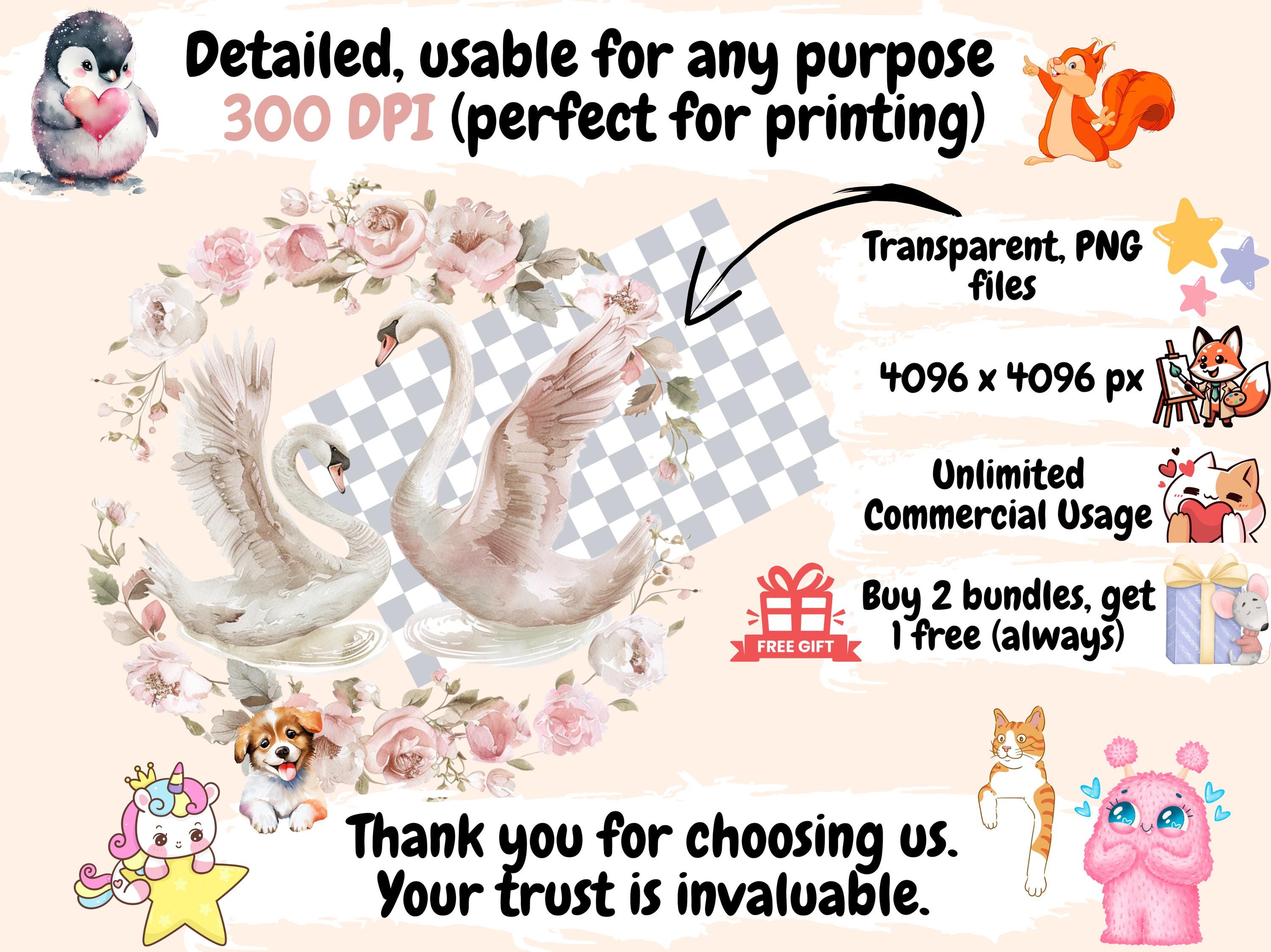 Swan Lake Watercolor Clipart Bundle: Ballet Graphics (digital Download ...