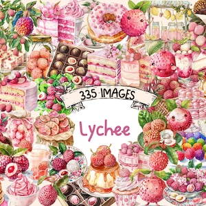 Lychee Watercolor Clipart Bundle - 335 PNG Sweet Lychee Fruit Images, Tropical Berry Graphics, Instant Digital Download, Commercial Use