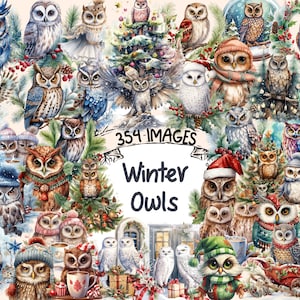 Winter Owls Watercolor Clipart Bundle -354 PNG Snowy Christmas Owl Images,Cute Festive Bird Graphics,Instant Digital Download,Commercial Use