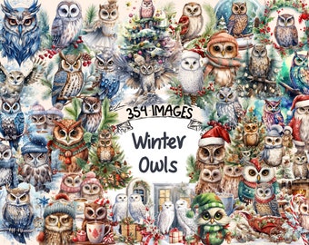 Winter Owls Watercolor Clipart Bundle: Snowy Christmas Graphics (Digital Download)