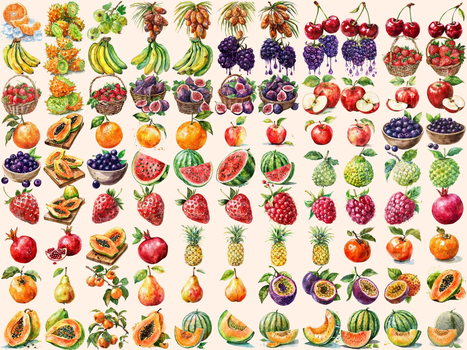 Watercolor Fruits Clipart Bundle: 491 PNG Graphics (digital Download ...