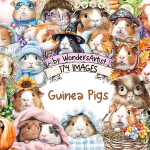 Guinea Pigs Watercolor Clipart Bundle - 174 PNG Cute Hamster Pet Images, Adorable Animal Illustrations, Instant Download, Commercial Use