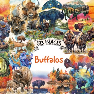 Buffalos Aquarell Clipart Bundles - 513 PNG majestätische Büffel Bilder, Wild West Bison Grafiken, sofortiger digitaler Download, kommerzielle Nutzung