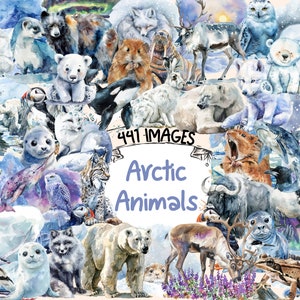 Arctic Animals Watercolor Clipart Bundle - 441 PNG Polar Wildlife Images, Frozen Tundra Graphics, Instant Digital Download, Commercial Use