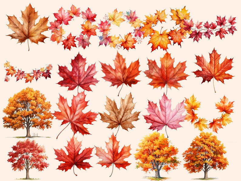 May include: Watercolour illustrations of autumn leaves in various shades of red, orange, and yellow. The leaves are arranged in a variety of patterns, including wreaths, garlands, and single leaves. There are also two watercolour illustrations of trees with autumn leaves.