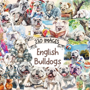 English Bulldogs Watercolor Clipart Bundle - 230 PNG Charming Bulldog Images, Adorable Dog Graphics, Instant Digital Download,Commercial Use
