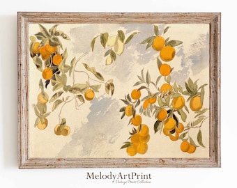 Vintage Orange Fruit Painting: Farmhouse Kitchen Wall Art (Digital Download)