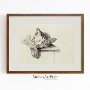 Cat Nursery Art | Printable Cat Drawing | Cat Art Print | Vintage Sketch | Antique Drawings | Nursery Wall Art | Digital Download