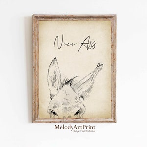 May include: A framed print featuring a vintage-style illustration of a donkey's face, with the text "Nice Ass" in cursive script. The donkey is depicted in shades of gray and white, with visible ears and eyes. The frame is a light brown color.