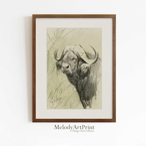 Printable Bison Drawing, North American Plains Buffalo, Water Bison Pencil Drawing, Rustic Cabin, European Bison Sketch Drawing