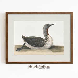 Printable Vintage Duck Print, Nursery Art, Farmhouse Nursery Art, Duck Drawing Printable Wall Art, Nursery Room Art Prints, Instant Download
