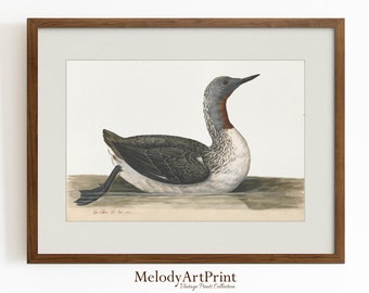 Vintage eend tekening print, kinderkamer kunst aan de muur (digitale download)