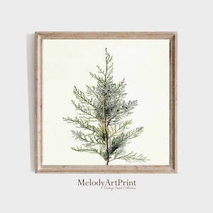 Vintage Christmas Tree Print, Botanical Winter Wall Art (Digital Download)