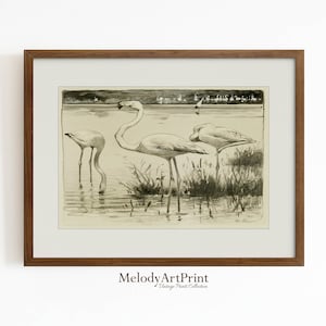 Printable Flamingos Drawing Vintage Wall Art | Digital Download | Antique Flamingo Painting Digital Print | Digital Vintage Animal Painting