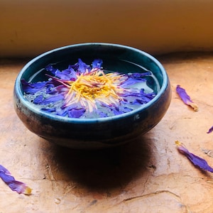 Blue Lotus - dried organic whole flower - Nymphaea caerulea