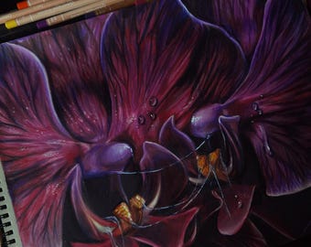 Orchid Embrace - signed print