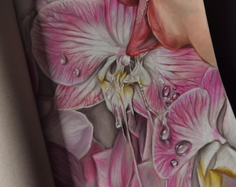 Petal Taste - signed print