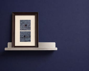 May include: A rectangular picture frame with a dark brown finish and a white mat, containing two stacked square photographs of a dark object in water. The frame rests on a long, narrow, light gray metal shelf against a solid dark blue wall.