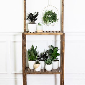 Plant stand outdoor -  México