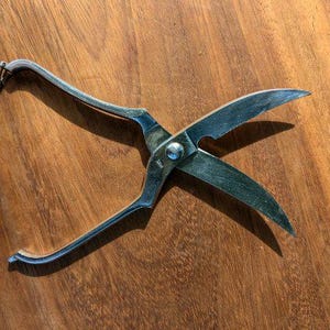Poultry scissors