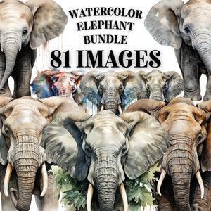 ELEPHANT CLIPART Bundle 81x Png - ACUARELA - Safari Jungle Animals Diseños digitales transparentes para uso comercial, artesanía, decoración y más
