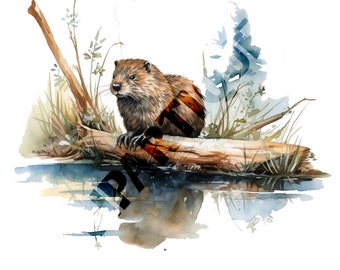 BEAVER PNG 12pc, Water Color CLIPART, Jungle Animals Png, Digital Download Commercial Use Forest Animal Transparent Clipart Designs