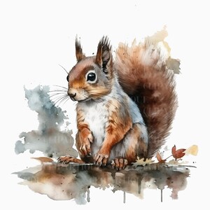 ÉCUREUIL PNG 12pc, aquarelle CLIPART, Woodland animaux Png, téléchargement numérique utilisation commerciale forêt animaux Transparent Clipart Designs