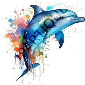 DELPHIN PNG 12 Stück, Aquarell CLIPART, Meerestiere Png, digitaler Download kommerzielle Nutzung Wassertier transparente Clipart Designs