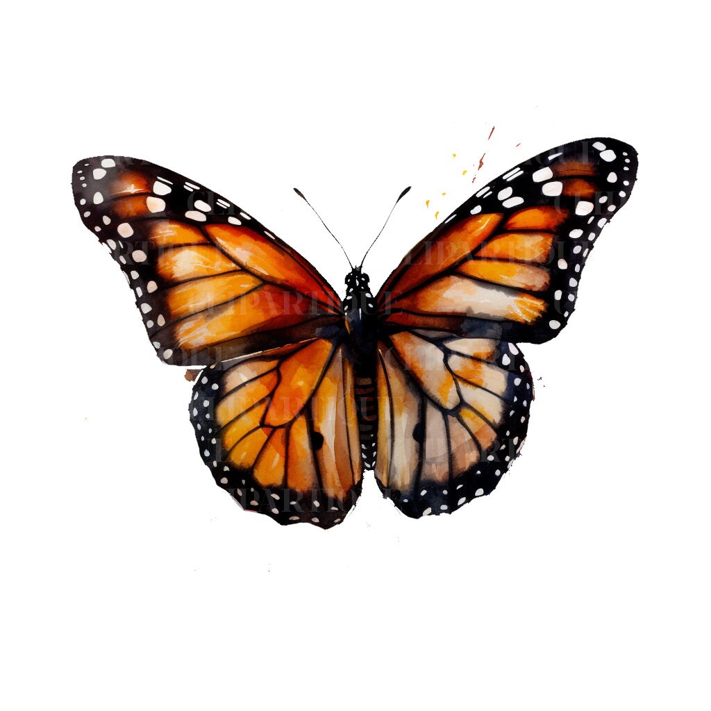 MONARCH BUTTERFLY Clipart Bundle 28x Png Watercolor - Etsy