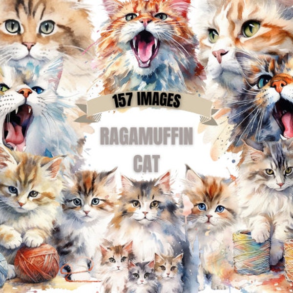 RAGAMUFFIN CAT CLIPART Bundle 157x Png - Watercolor - Kitten Transparent Digital Design for Commercial Use, Craft, Decor n' More