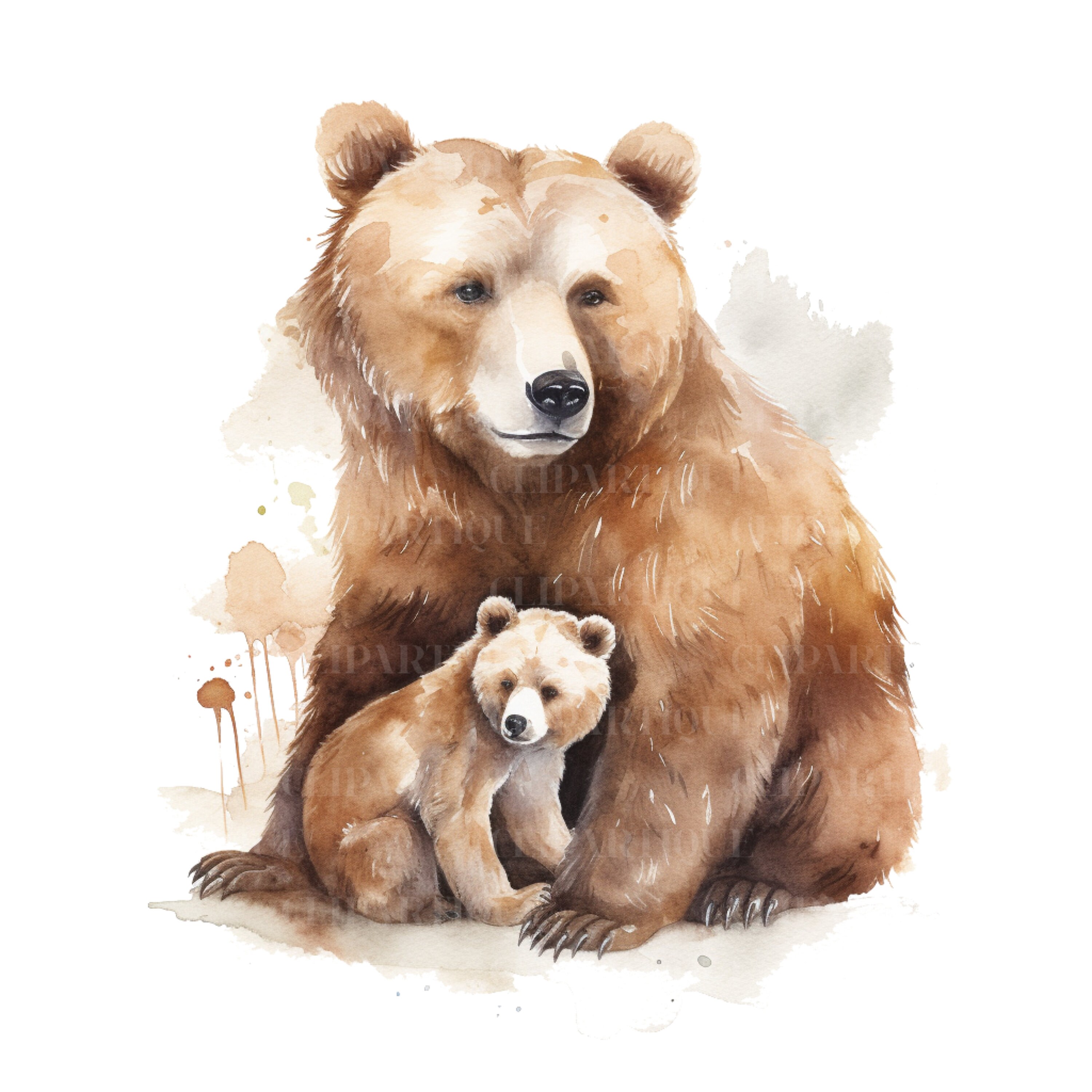 MAMA BEAR Png Water Color CLIPART 20pc Jungle Animals Png - Etsy