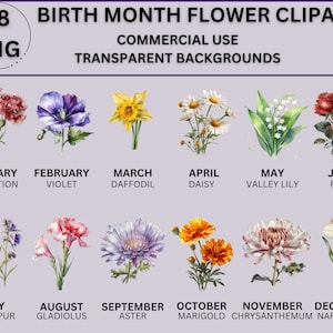Naissance mois fleur Png, aquarelle CLIPART, fleurs botaniques Png, téléchargement numérique 48 utilisation commerciale Wildflower Transparent Clipart Design