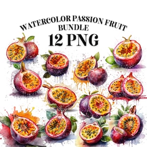 FRUTA DE LA PASIÓN Png, CLIPART de color de agua, Frutas de verano Png, Descarga digital 12 Diseños de imágenes prediseñadas transparentes de uso comercial