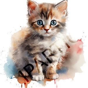Aquarell Katzen Clipart - 12 Designs - Digitaler Download Kommerzielle Nutzung - Transparente PNGs