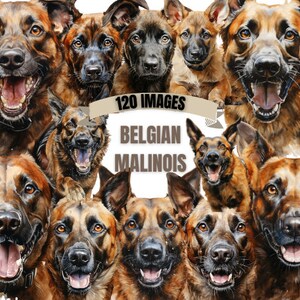 BELGISCHER MALINOIS HUND Clipart Bundle 120x Png - Aquarell - Welpen-Liebhaber Transparentes digitales Design für kommerzielle Nutzung, Handwerk, Dekor und mehr