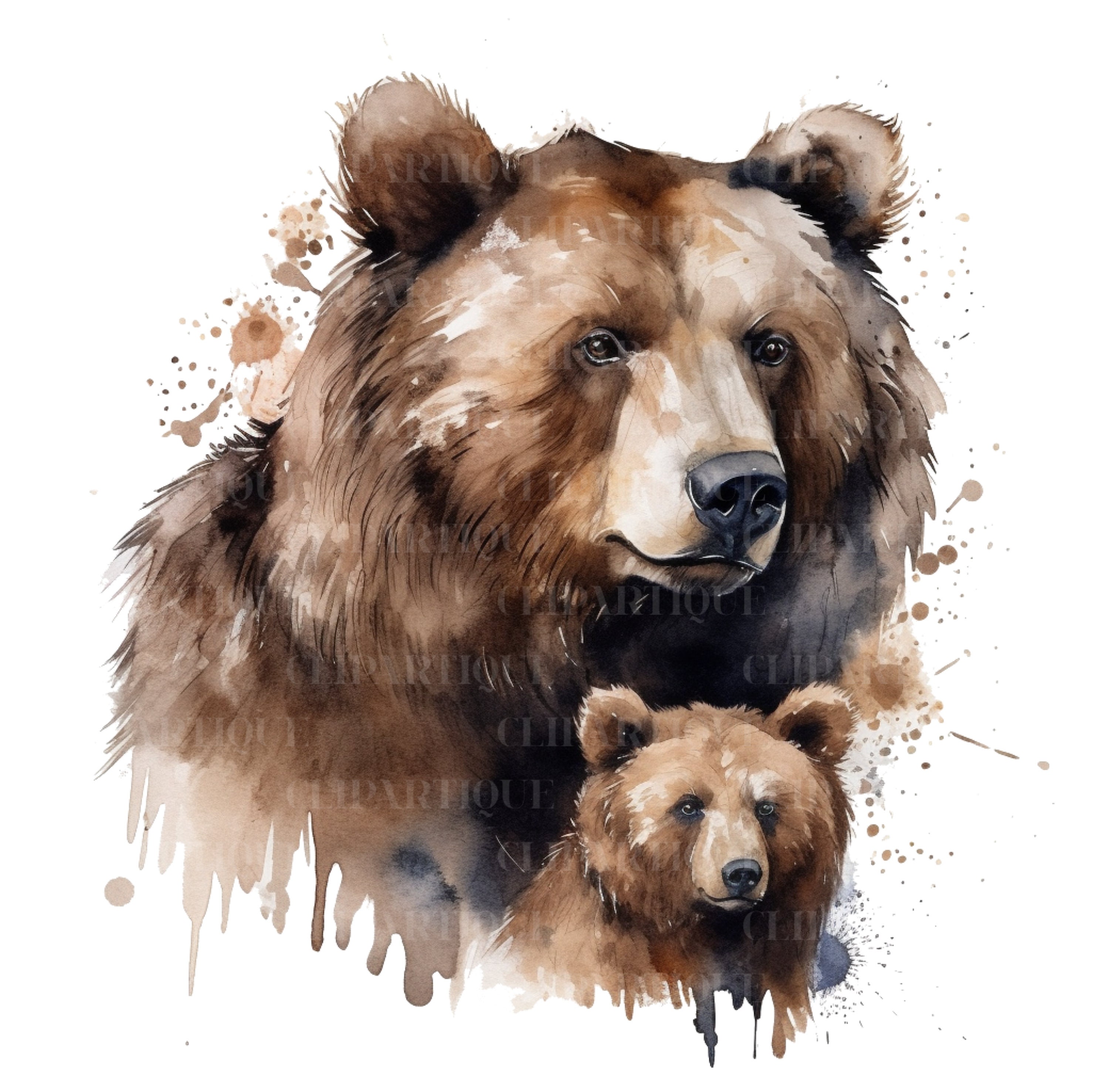 MAMA BEAR Png Water Color CLIPART 20pc Jungle Animals Png - Etsy