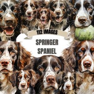 SPRINGER SPANIEL Dog CLIPART Bundle 112x Png - Aquarela - Puppy Lover Transparent Digital Design for Commercial Use, Craft, Decor N' More