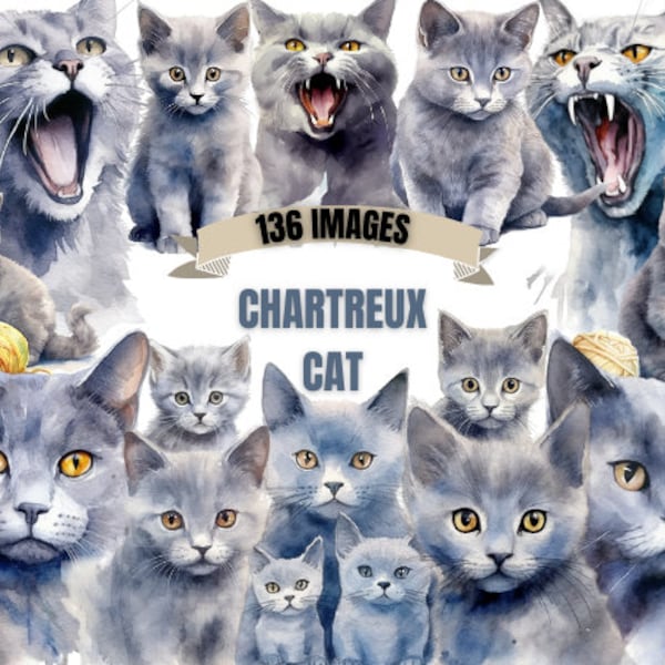 CHARTREUX CAT CLIPART Bundle 136x Png - Watercolor - Kitten Lover Transparent Digital Design for Commercial Use, Craft, Decor n' More