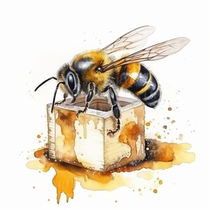 HONINGBIJ Png 20pc, Waterkleur CLIPART, Bumble Bee Png, Commercieel Gebruik Clipart Honingraat Digitale Ontwerpen