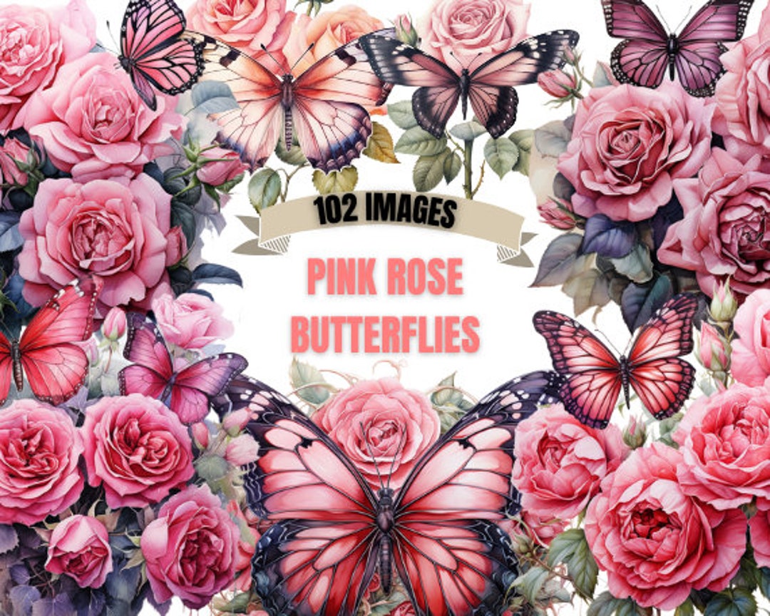 PINK ROSE BUTTERFLY Clipart Bundle 102x Png Watercolor Etsy