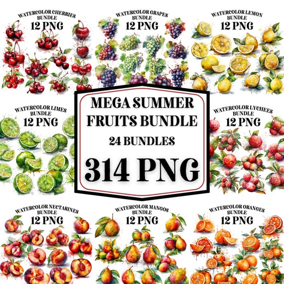 570 Fruits, Vegetables, Illustrations, Bundle Lifetime License