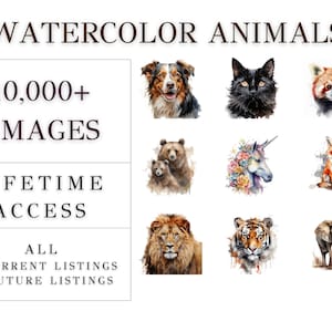 ANIMAL CLIPART BUNDLE 10000+ Png, Water Color Clipart, Safari Jungle Forest Marine Animals Png, Commercial Use Transparent Digital Designs