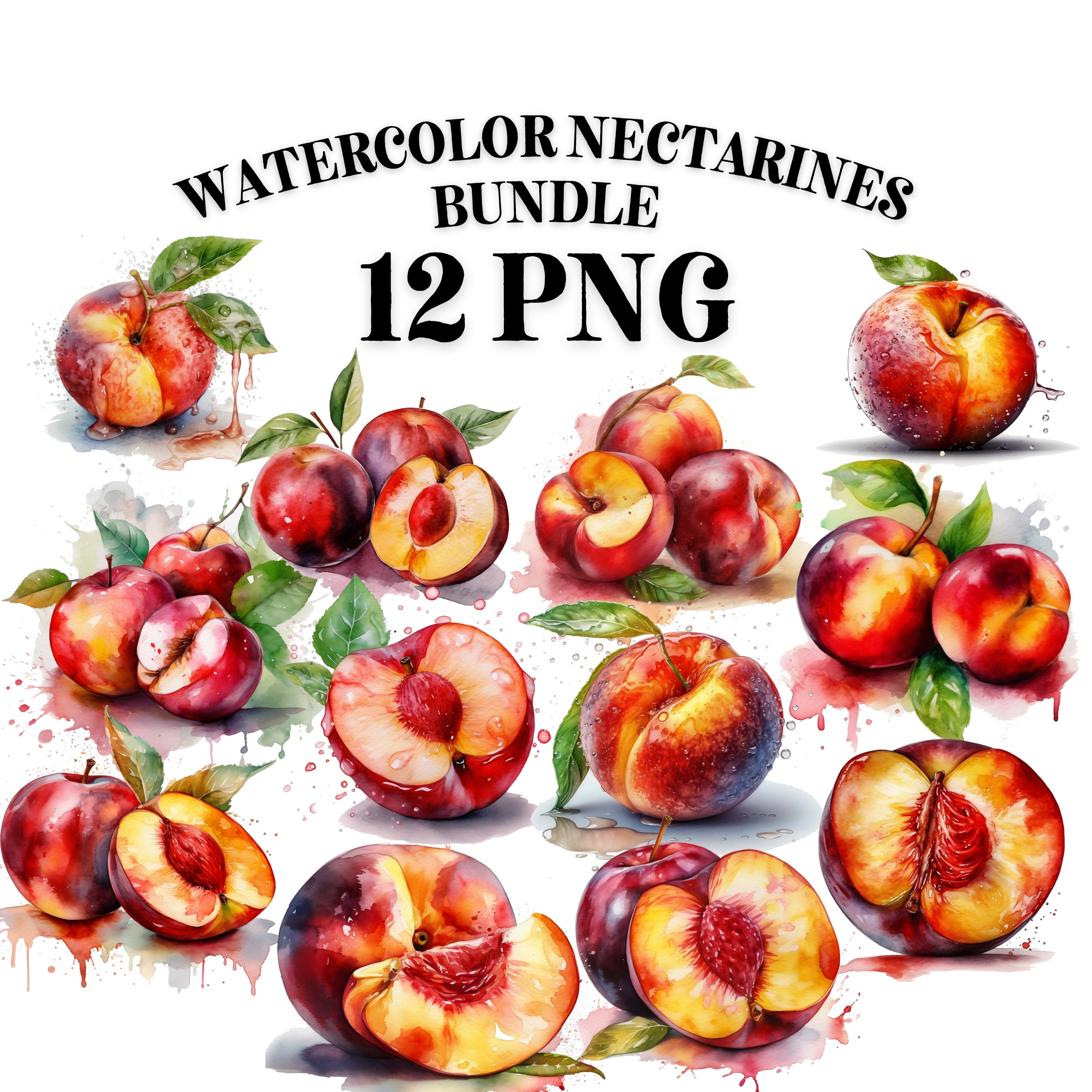 NECTARINE PNG Water Color CLIPART Summer Fruits Png Digital Etsy
