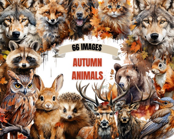 FALL ANIMALS CLIPART Bundle 66x Png Watercolor Autumn - Etsy