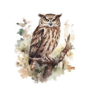Eule PNG, Aquarell CLIPART 12 Stück, Waldtiere Png, digitaler Download kommerzielle Nutzung Waldtier transparente Clipart Designs