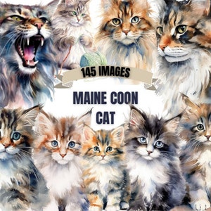 MAINE COON CAT Clipart Bundle 145x Png - Aquarelle - Kitten Lover Transparent Digital Design pour un usage commercial, artisanat, décor n' plus