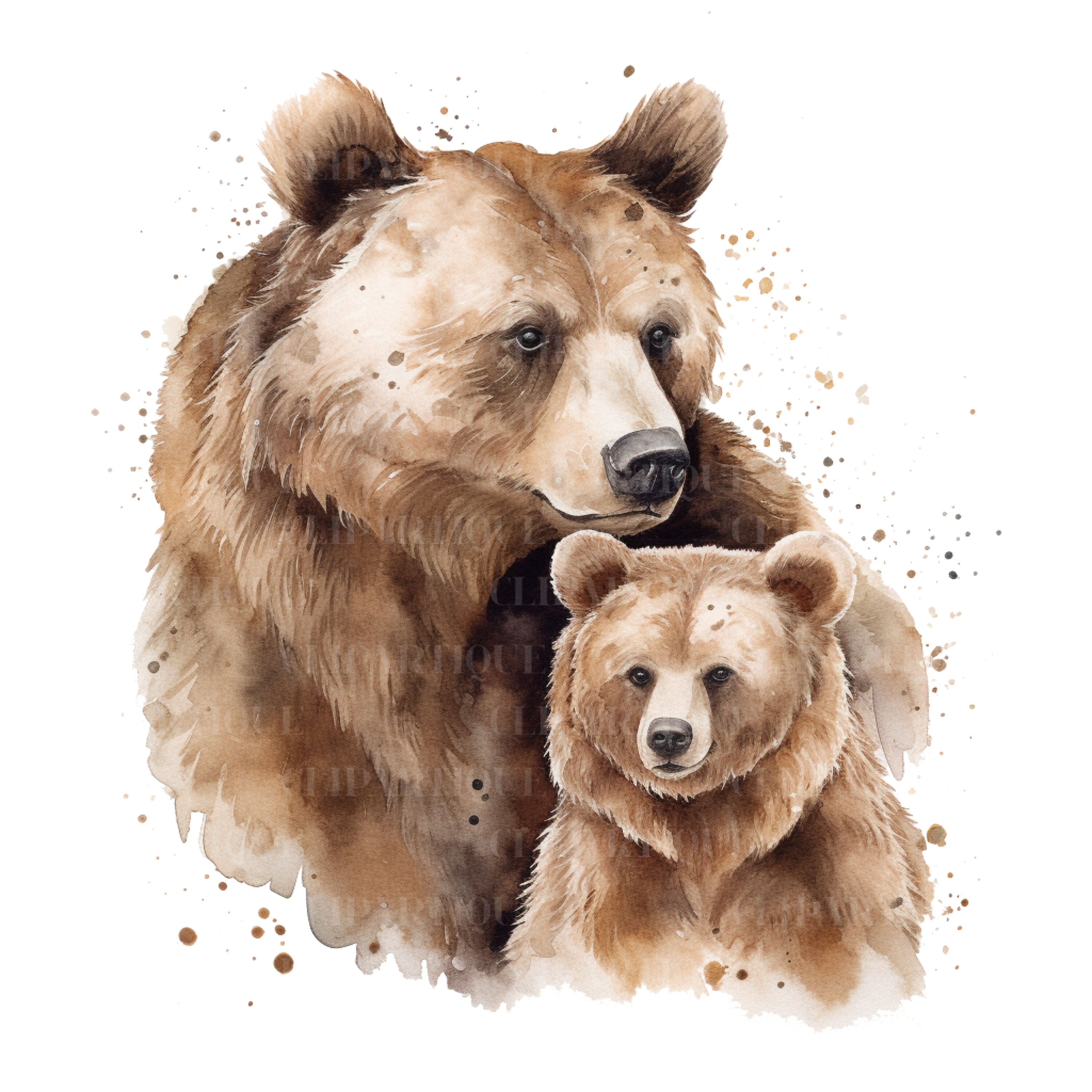 Bear Graphics MAMA BEAR Png Water Color CLIPART 20pc Jungle Animals Png - Etsy