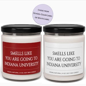 Graduation Gift, Customized Smells like You are Going to College Candle Gift for Acceptance, Decision, Graduation, Bed Party, Soy Candle 9oz